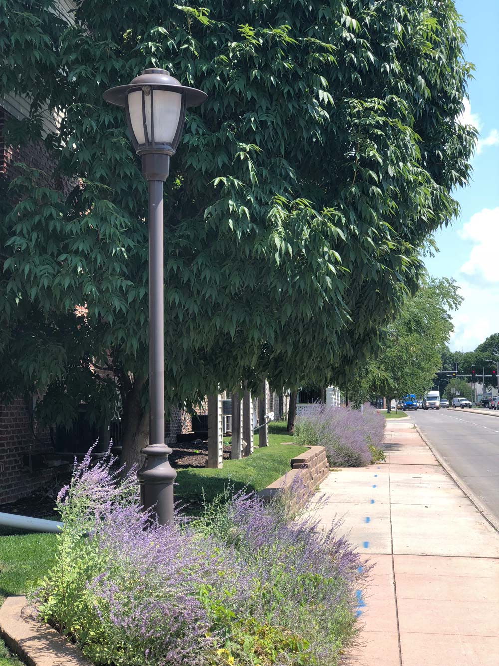 Vine Street Cherry Hill Company